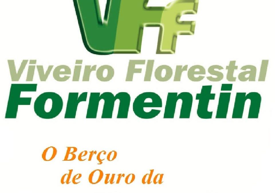 Viveiro Florestal Formentin